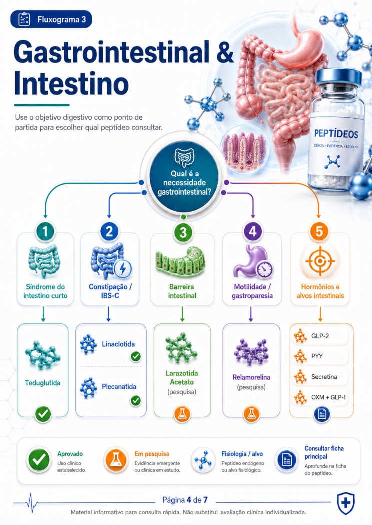 Guia visual Gastrointestinal